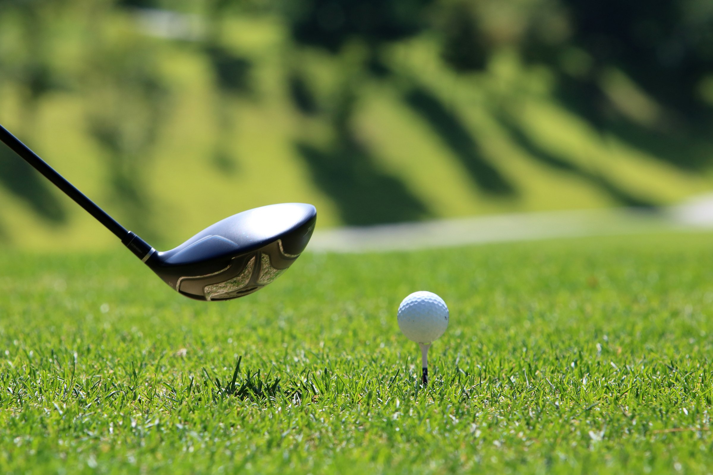 a golf ball and a golf club on a green field