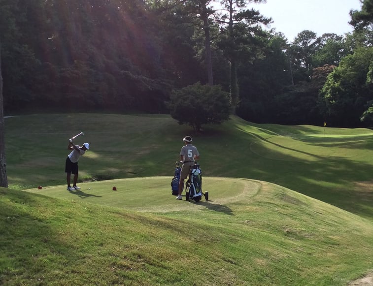 Two people are playing golf on a course with trees in the background