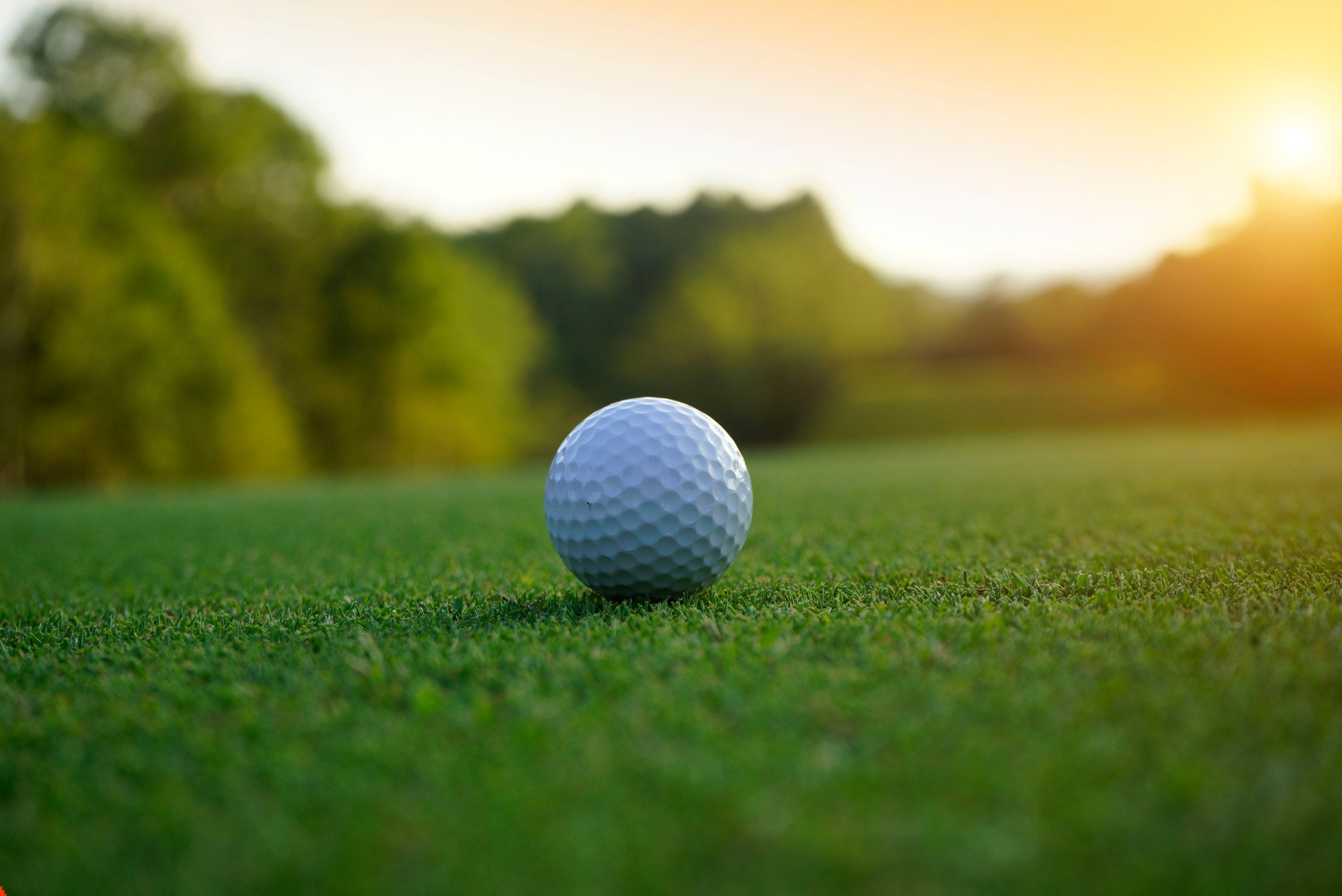 a golf ball sits on the grass in front of the sun